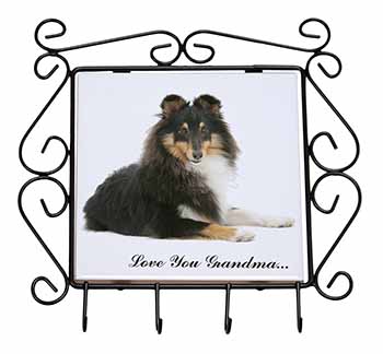 Sheltie Dog 