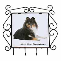 Sheltie Dog 