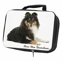 Sheltie Dog 