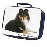 Sheltie Dog 