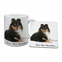 Sheltie Dog 