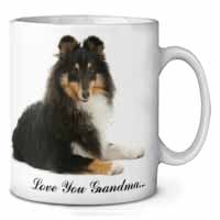 Sheltie Dog 