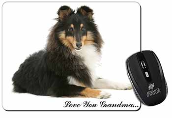 Sheltie Dog 