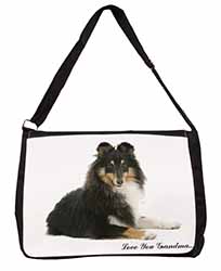 Sheltie Dog 