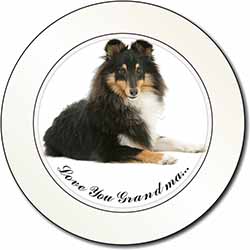 Sheltie Dog 