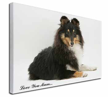 Sheltie Dog 