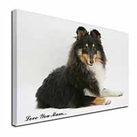 Sheltie Dog 