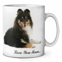 Sheltie Dog 