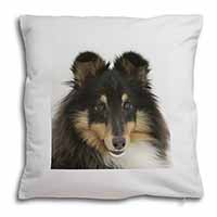 Tri-Colour Shetland Sheepdog Soft White Velvet Feel Scatter Cushion