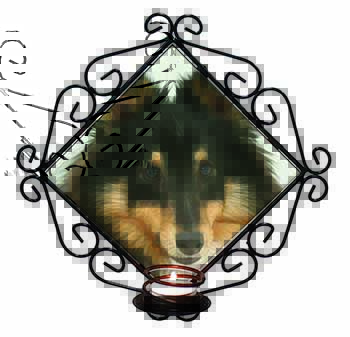 Tri-Colour Shetland Sheepdog Wrought Iron Wall Art Candle Holder
