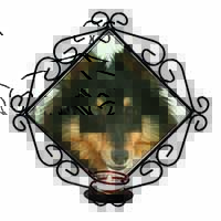 Tri-Colour Shetland Sheepdog Wrought Iron Wall Art Candle Holder