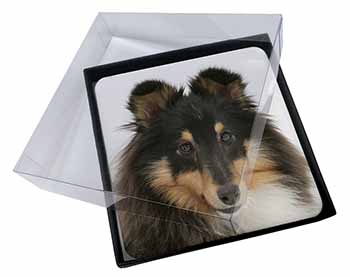 4x Tri-Colour Shetland Sheepdog Picture Table Coasters Set in Gift Box