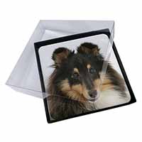 4x Tri-Colour Shetland Sheepdog Picture Table Coasters Set in Gift Box
