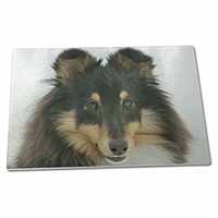 Large Glass Cutting Chopping Board Tri-Colour Shetland Sheepdog