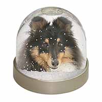 Tri-Colour Shetland Sheepdog Snow Globe Photo Waterball