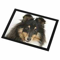 Tri-Colour Shetland Sheepdog Black Rim High Quality Glass Placemat