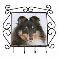 Tri-Colour Shetland Sheepdog Wrought Iron Key Holder Hooks