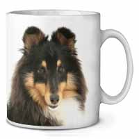 Tri-Colour Shetland Sheepdog Ceramic 10oz Coffee Mug/Tea Cup