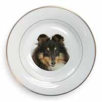 Tri-Colour Shetland Sheepdog Gold Rim Plate Printed Full Colour in Gift Box