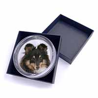Tri-Colour Shetland Sheepdog Glass Paperweight in Gift Box