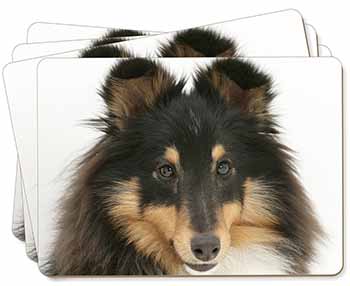 Tri-Colour Shetland Sheepdog Picture Placemats in Gift Box