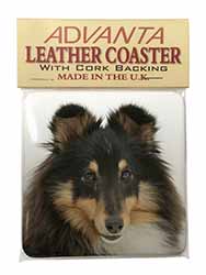 Tri-Colour Shetland Sheepdog Single Leather Photo Coaster