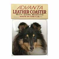 Tri-Colour Shetland Sheepdog Single Leather Photo Coaster