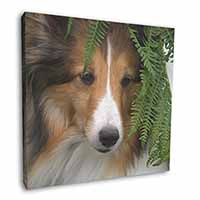 Shetland Sheepdog Square Canvas 12"x12" Wall Art Picture Print