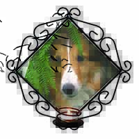 Shetland Sheepdog Wrought Iron Wall Art Candle Holder