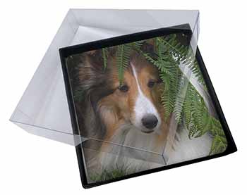 4x Shetland Sheepdog Picture Table Coasters Set in Gift Box