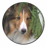 Shetland Sheepdog Fridge Magnet Printed Full Colour