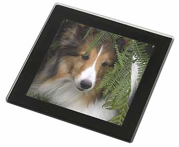 Shetland Sheepdog Black Rim High Quality Glass Coaster