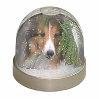 Shetland Sheepdog Snow Globe Photo Waterball