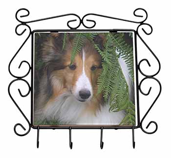 Shetland Sheepdog Wrought Iron Key Holder Hooks