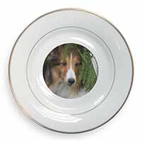 Shetland Sheepdog Gold Rim Plate Printed Full Colour in Gift Box