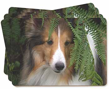 Shetland Sheepdog Picture Placemats in Gift Box