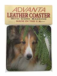 Shetland Sheepdog Single Leather Photo Coaster