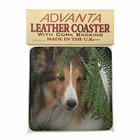 Shetland Sheepdog Single Leather Photo Coaster
