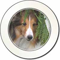 Shetland Sheepdog Car or Van Permit Holder/Tax Disc Holder