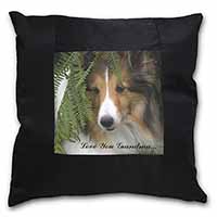 Shetland Sheepdog 