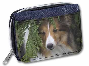 Shetland Sheepdog 