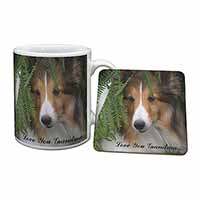 Shetland Sheepdog 