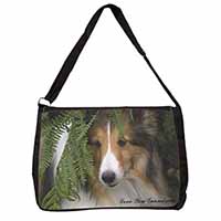 Shetland Sheepdog 