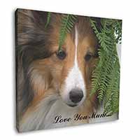 Shetland Sheepdog 