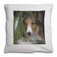 Shetland Sheepdog 