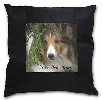 Shetland Sheepdog 