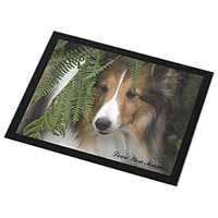 Shetland Sheepdog 