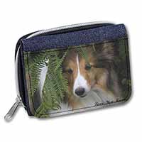 Shetland Sheepdog 