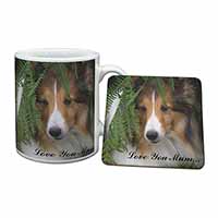 Shetland Sheepdog 