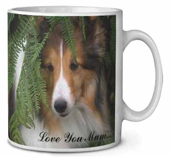 Shetland Sheepdog 